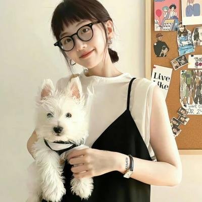蜗牛的策略